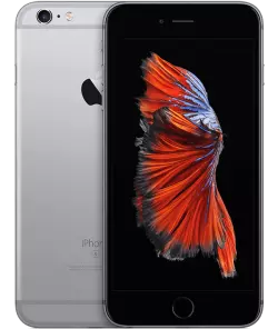 iPhone 6s Plus - Gris Sidéral - 16