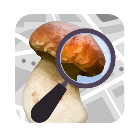 champignouf