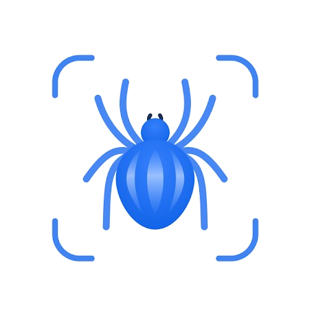 picture insect