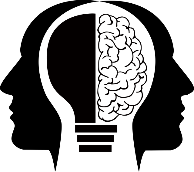 Cerveau humain en relief avec une idée