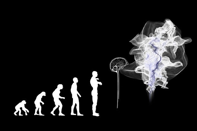 évolution de l'intelligence artificielle